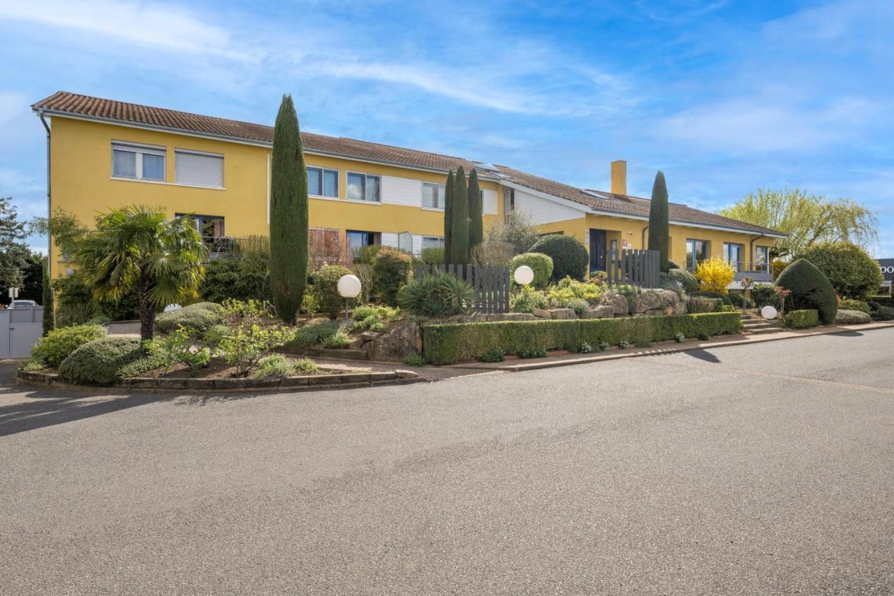 Hotel Newport Villefranche-sur-Saône Dış mekan fotoğraf